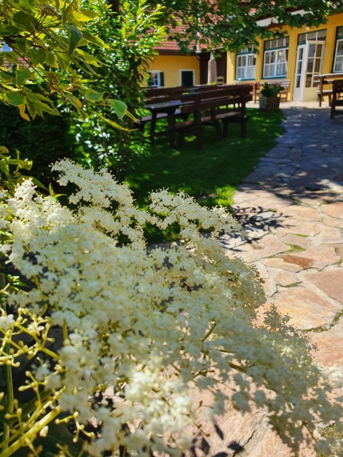 Landhof Steinbaeck Hotel Sankt Stefan ob Stainz Eksteriør billede