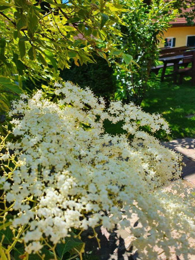 Landhof Steinbaeck Hotel Sankt Stefan ob Stainz Eksteriør billede